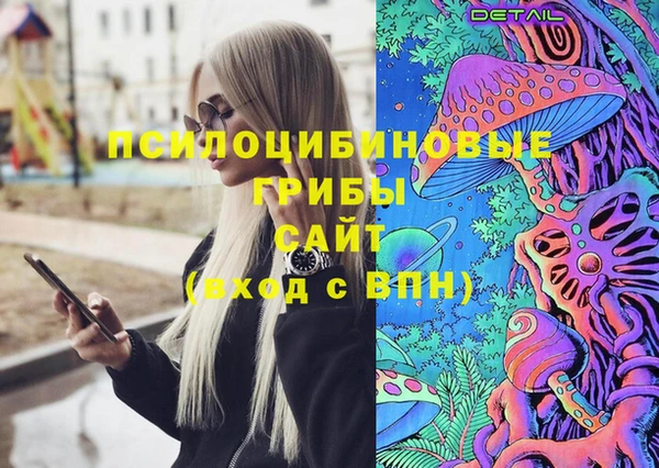 гидропоника Арсеньев