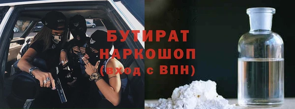 сатива Аркадак