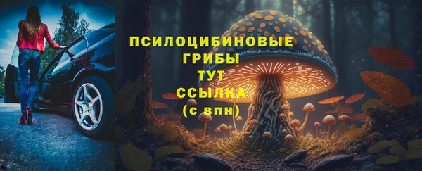 сатива Аркадак