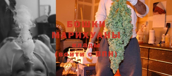 сатива Аркадак