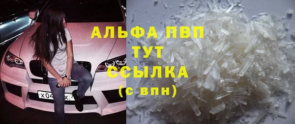 сатива Аркадак