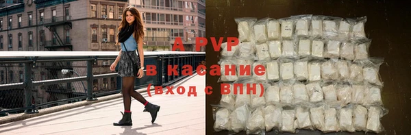 сатива Аркадак