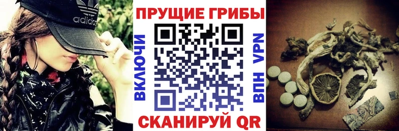 Псилоцибиновые грибы мицелий  хочу наркоту  Урай 