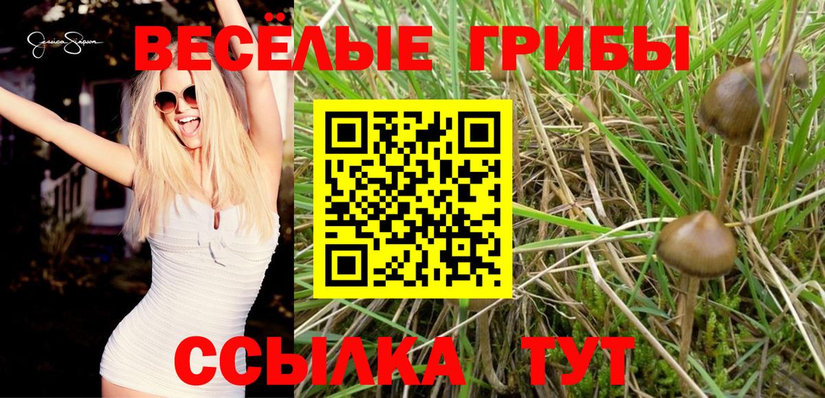 Галлюциногенные грибы Psilocybine cubensis  Вход с VPN  где найти наркотики  Урай 