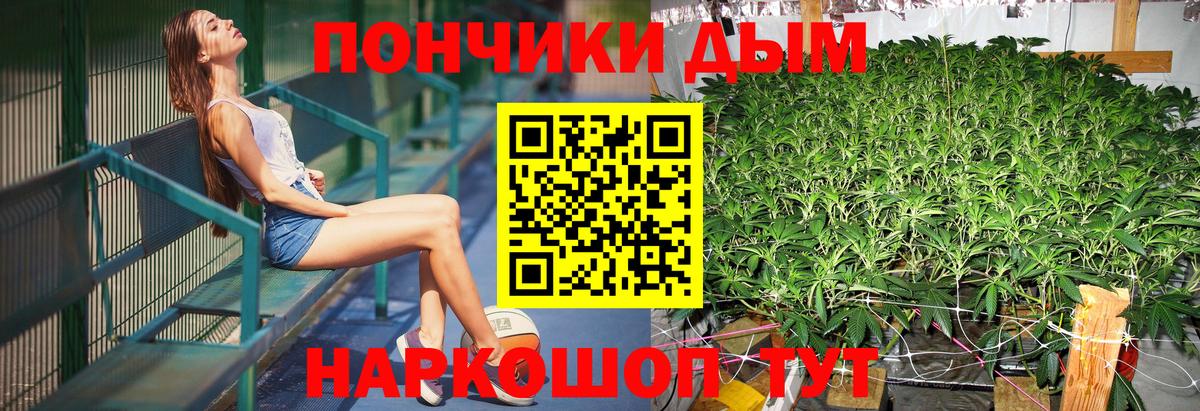 Конопля планчик Урай